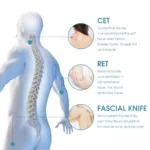 ⁦Velofrost Tecartherapy RF Skin Thigthening Fat Burning Machine⁩ - الصورة ⁦3⁩